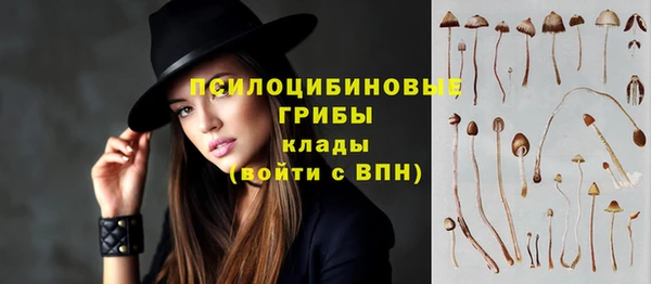 экстази Богданович
